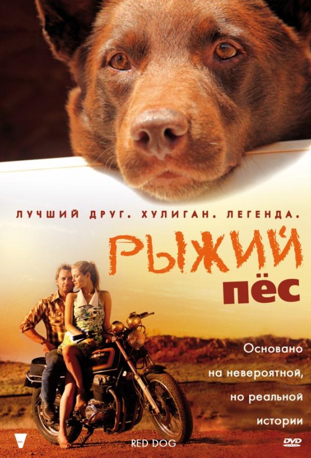 Фильм Рыжий пес 2011 смотреть онлайн с Джошем Лукасом и Артуром Энджелем
